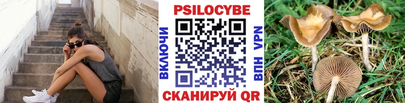 Галлюциногенные грибы Psilocybine cubensis  Новокузнецк 